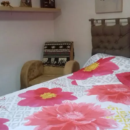 Quintinha Reimao Летний дом